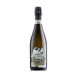 Bollicine